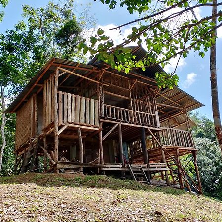 Orangutantreksumatra & Lovely Jungle Lodge Only Book If You Are Treking With Us Bukit Lawang Kültér fotó