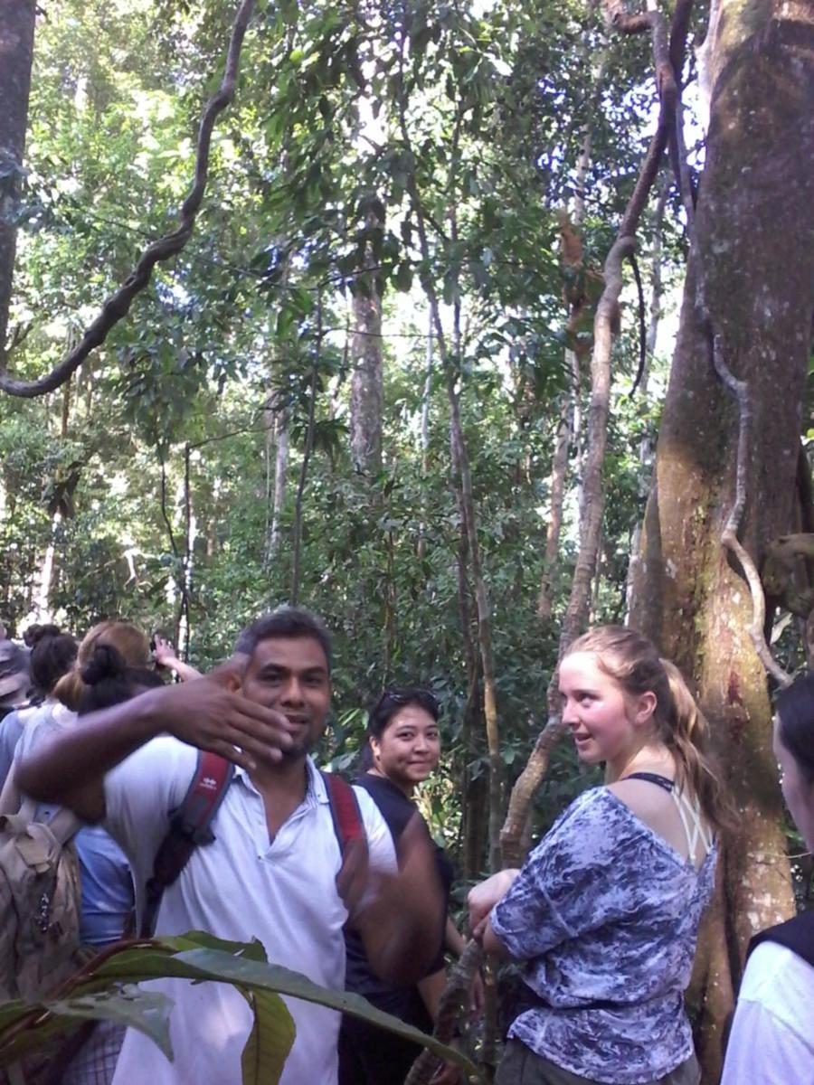 Orangutantreksumatra & Lovely Jungle Lodge Only Book If You Are Treking With Us Bukit Lawang Szoba fotó