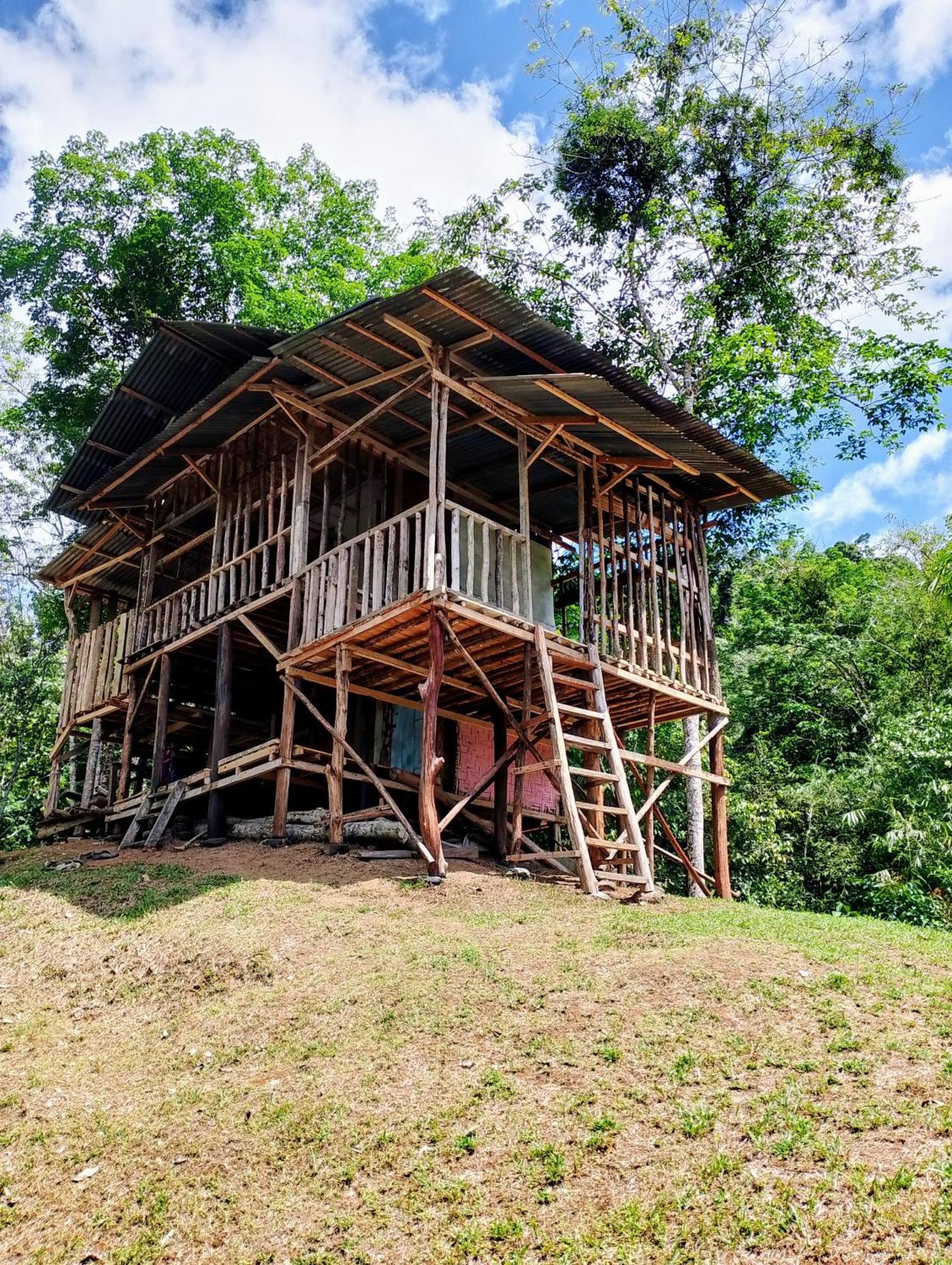 Orangutantreksumatra & Lovely Jungle Lodge Only Book If You Are Treking With Us Bukit Lawang Kültér fotó
