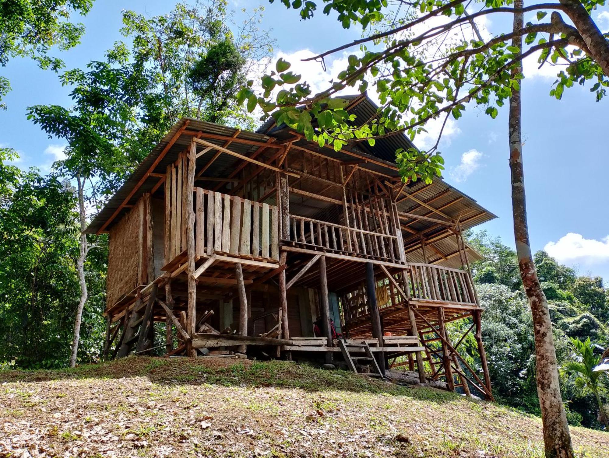 Orangutantreksumatra & Lovely Jungle Lodge Only Book If You Are Treking With Us Bukit Lawang Kültér fotó